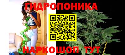 круглые Тулун