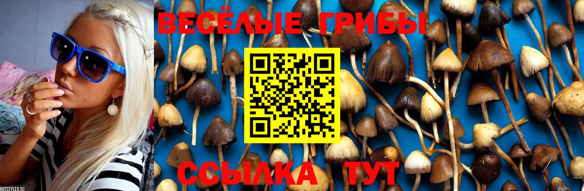 Псилоцибиновые грибы Psilocybe  Вход с VPN  Печора  Псилоцибиновые грибы GOLDEN TEACHER 